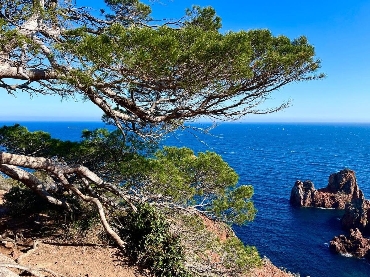 Les Cactus Frejus Plage Exterior foto